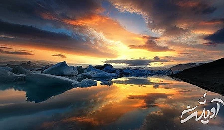 فوک یکی از انواع گونه های جانوری دریاچه جوکولسارلون ساحل یخی جوکولسارلون, مسیر دریاچه ی جوکولسارلون, جانوران دریاچه ی جوکولسارلون